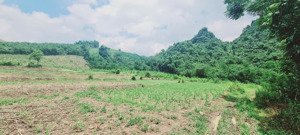 bán nhanh 720m2 đất, mặt tiền 50m cách hà nội hơn 40km, giá chưa đến 500tr