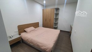 cho thuê căn hộ 2pn tầng cao, view công viên nhạc nước tại chung cư fpt plaza 2 - vào ở ngay