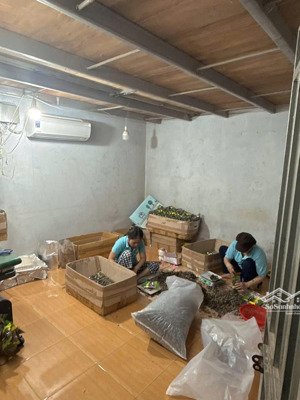 nhà cấp 4 đường 5m5 đinh nhật tân, cẩm lệ, hiện đang cho thuê 6tr/th - dt: 90 m2. ngang 5m