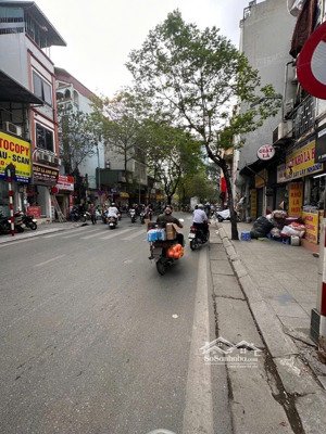 bán đất đội cấn 55m², cách phố 15m, mặt tiền 4.3m, giá chỉ 9 tỷ (tl)