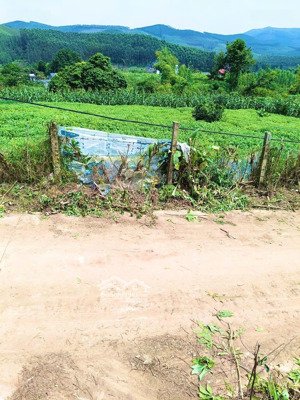 đất thổ cư rộng, rẻ phân khúc hiếm gần 1000m2 mà giá 390tr tại lục nam, bắc giang