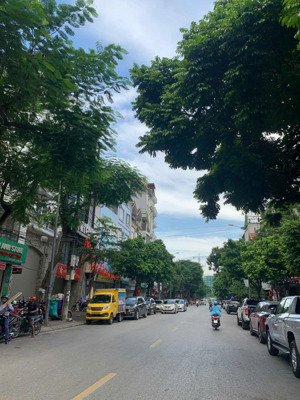 cực hiếm cổ linh long biên dt rộng 110m2 lô góc, phân lô, vỉa hè rộng, kinh doanh, ô tô tránh