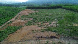 bán đất vườn 10.000m² sổ đỏ sẵn mua bán công chứng nhanh hòa phú, hòa vang, đà nẵng