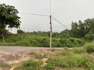 bán đất 399m2 tại đường 31, xã phượng sơn, lục ngạn, bắc giang, giá thỏa thuận