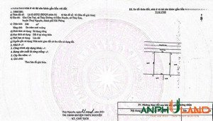 bán đất biệt thự khu đấu giá cửa trại - phường thủy đường - tp thủy nguyên hải phòng