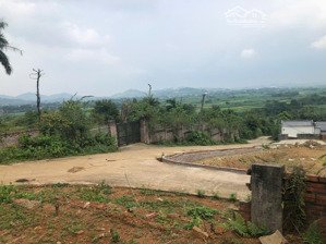 cơ hội đầu tư vàng lô đất 2100m2 tại yên bài, ba vì giá chỉ 4,6tr/m2