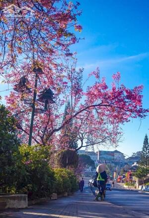 BÁN KHÁCH SẠN NAM KỲ KINH DOANH 50 PHÒNG GIÁ TỐT ĐÀ LẠT