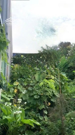 bán đất khu vĩnh khê an đồng an dương hải phòng.chỉ 1 lô giá rẻ