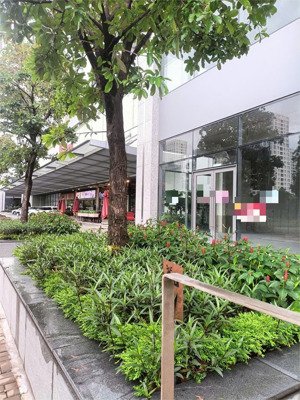 cho thuê shophouse phú mỹ hưng quận 7 55 triệu, 200m2