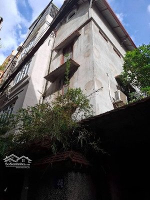 bán đất tặng nhà phố thanh nhàn - hai bà trưng - ngõ nông gần phố - sổ đỏ chính chủ