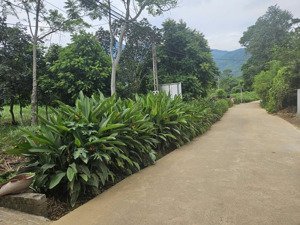 329m2 đất đẹp đường rộng vị trí trung tâm nghỉ dưỡng giá 2,9 tỷ