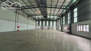 CHO THUÊ KHO XƯỞNG 1.500m² TẠI HẢI DƯƠNG