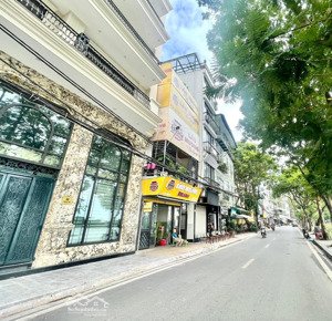 thịnh hào - đống đa - 8 tầng thang máy - ô tô tránh, 65m2 x mặt tiền 5m, phân lô. giá 28,6 tỷ