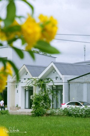 bán nhà riêng tại nguyệt hóa, châu thành, trà vinh, 1,45 tỷ, 75m2 giá ưu đãi uy tín