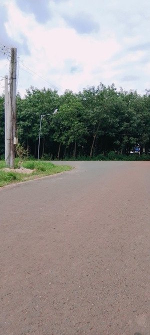 siêu phẩm đất kcn mặt tiền đường 32m giá chỉ từ 290tr