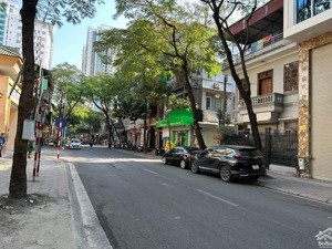 bán nhà 2 mặt tiền phố hoàng hoa thám - đội cấn, 120m2 x mt 25m. 45 tỷ, ô tô tránh, kinh doanh