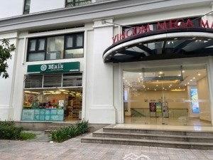 bán shophouse dòng tiền times city 124m² đang cho thuê 93tr/tháng giá 24,5 tỷ