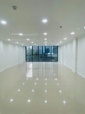 hàng hiếm. phân lô hoàng quốc việt, 100m2. mặt tiền 8.5m. ô tô tránh, đỗ cửa. khu dân trí cao. 37tỷ