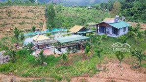 bán mô hình nhà vườn khánh phú, gần trường quốc tế, hơn 400 gốc sầu