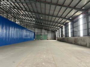 Cho thuê kho xưởng 986m² pccc tự động, điện 3 pha Cần Thơ | container 40ft