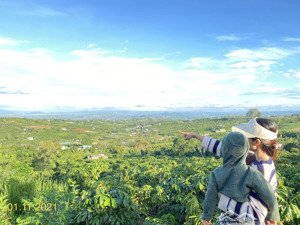 8x50m đất đường trần phú, cách chợ tân hà 5p