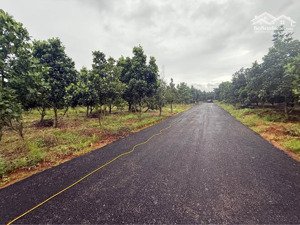 9 tỷ cho 2,3 ha phù hợp làm kho bãi hoặc nông nghiệp sát quốc lộ 14 đăk nông