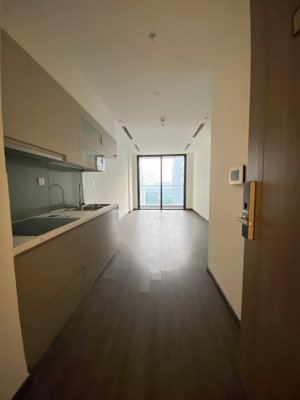 cho thuê căn hộ 2 phòng ngủ 2 vệ sinh đồ cơ bản vinhomes symphony, giá chỉ 12 triệu/tháng.