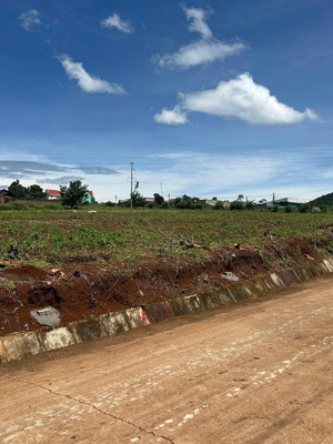 giờ còn tìm đâu ra lô đất đẹp gần quốc lộ, gần sân bay, đường bê tông lớn, view đẹp như thế này nửa