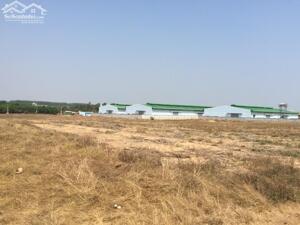 BÁN ĐẤT CÔNG NGHIỆP SKC TẠI TRÀ VINH 10.000m2, 20.000m2, 30.000m2, 40.000m2 - SỔ SÁCH HOÀN CHỈNH