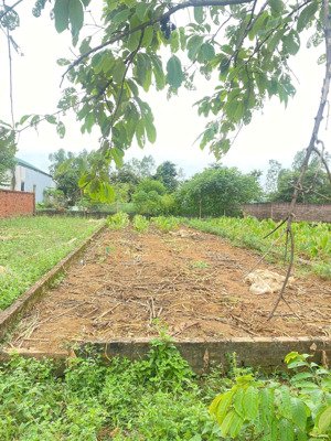 bán 100m2 đất tđc vai réo, phú cát đất dân cắt ra cực đẹp