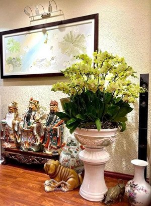 bán nhà phố trung liệt thái hà, 52.4m², 6 tầng, giá 17.8 tỷ