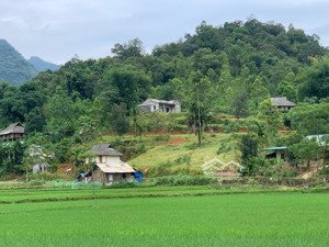 bán lô đất 4047m2 tại nhân mỹ - tân lạc cho khách hàng làm ngôi nhà thứ 2