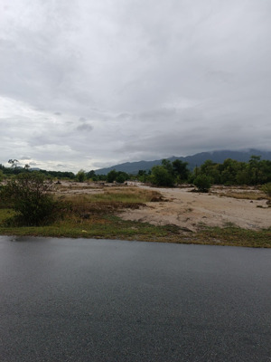 bán 14000m2 đất trồng cây(100m - 140m) hai mặt tiền nhựa chân mây