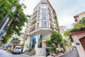 thu nhập khủng 100tr/th, gồm 16 chdv - bán nhà phường 4, q.tân bình, cn: 90m2, ngang 6m, 6 tầng. tm