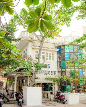 105 triệu/m2 - bán đất tặng biệt thự đường dương quảng hàm, phường 6, quận gò vấp