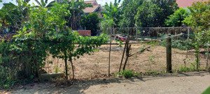 đất nam thành, gần nam kỳ khỡi nghĩa, 200m2 có 100m2 đất ở.