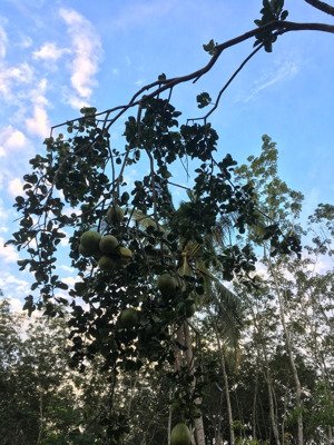 cho thuê mặt kinh doanh gần khu du lịch địa đạo củ chi, trường học