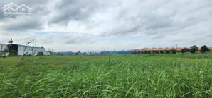 BÁN 5000M2 - 10.000M2 ĐẤT KCN HẢI SƠN, ĐỨC HÒA, LONG AN - GIÁ RẺ CHỈ 151 USD/M2