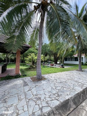 bán đất biệt thự kđt giáng hương nha trang kề bên ven sông tắc và sungruop giá rẻ nhất 20tr