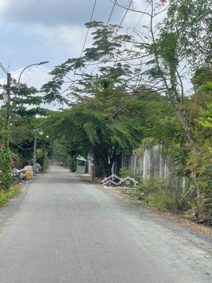 bán đất hỗn hợp sổ hồng riêng bình hưng, bình chánh, tp hcm, dt 5 hecta giá 5 triệu/1 m2