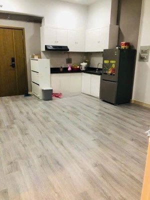 bán căn hộ 2pn opal garden tầng 8 view hồ bơi sổ hồng thoáng mát