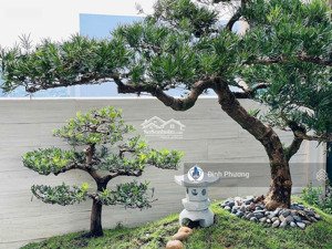 bán penhouse duplex 450m2 the vista an phú, q2, hcm. giá 47tỷ, 5pn, 3 tầng, sân vườn tầng 1.