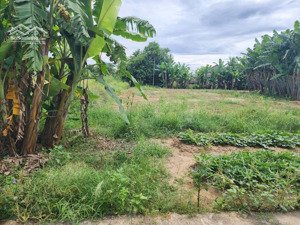 đất hòa vang giá rẻ, 163m2 có 120m2 đất ở chỉ 750 triệu.