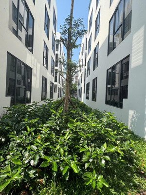 chính chủ bán a1.2 liền kề thanh hà - mường thanh, góc vườn hoa, giá đầu tư.