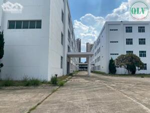 Cần Bán Nhà Xưởng Mới Xây Tại Kcn Việt Hương 1, Thuận An, Bình Dương Diện Tích Sử Dụng 31.488M²