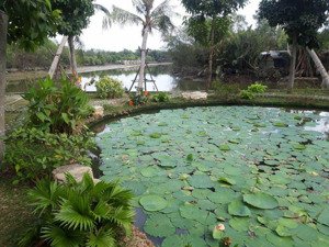 bán đất view sông thoáng mát quốc lộ 50, bình chánh giá chỉ 4,8 tỷ/80m² lh 