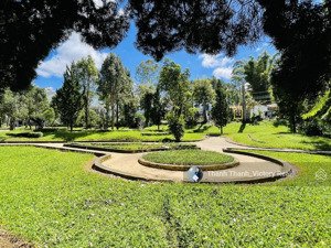 bán nhà mặt phố đường chính - trung tâm đà lạt - 65mv - 9,9 tỷ