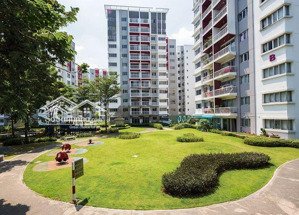 cho thuê căn hộ ngay cổng 2 khu ruby, tầng trung view mát mẻ