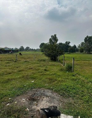 chủ gửi 99m2 đất thổ cư ở phước hiệp giá700tr cách ql 22 400m