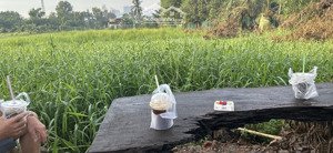 bán nhà riêng tại bình quới, 14,5 tỷ, 271m2 giá ưu đãi uy tín